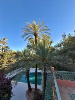 Luxurious villa Marrakech La Palmeraie - 8