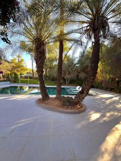 Luxurious villa Marrakech La Palmeraie - 1