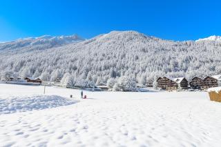 Appartement Lachenal 209A - Happy Rentals - 5