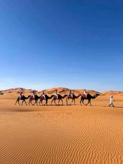 Royale Touareg Tents - 3