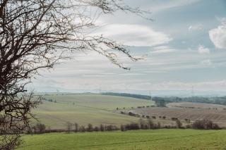 Melkington Lodge - 3