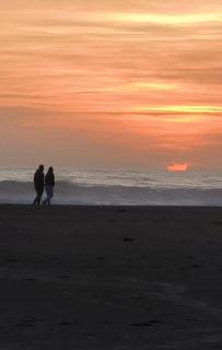 Cabaña Vista Playa Curiñanco - 1