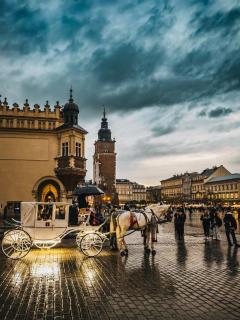 Jacuzzi & Bike Apartment, Krakow - 6