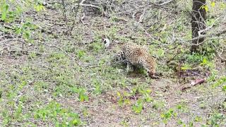 Woodpecker's Guest House - 1