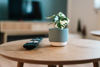 Anger17, Zentrales 2-Zimmer-Apartment in Dessau - 4