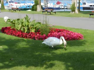 Gästehaus Lamprecht - Seefelden - 5