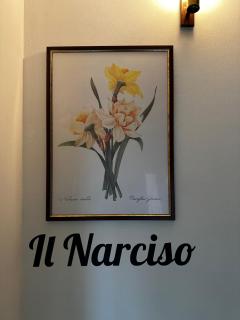 Il Narciso - 0