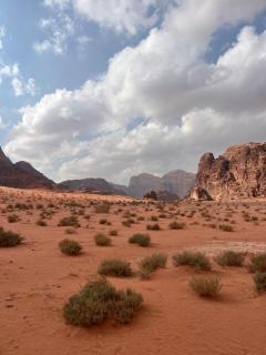 Reef Luxury Camp - 1