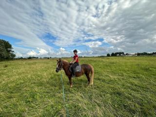 Ferienhof Renate Sassen - 8