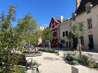 La Diligence - Logement climatisé au coeur de Dijon - 1