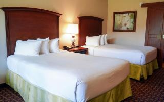 Rosen Inn International Near The Parks - 3