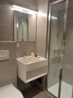 Hôtel du Cheval Blanc Brunstatt - 1