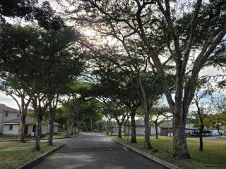 Carousel Eco Estate - 5