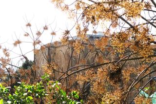 C'era una Volta a Palermo - 5