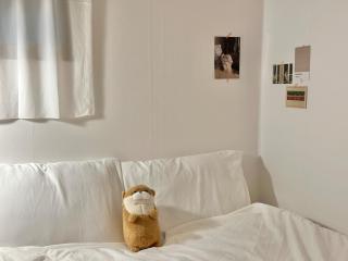 Cozy Two-Room near Seoul National University Station - 2