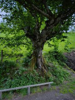 Садиба над потоком - 8