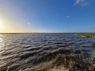 Ferienhaus Flut an der Nordsee bis 14 Personen mit Hund - 2