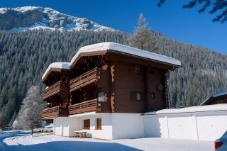 Résidence Améthystes B13 Ski In/Ski Out - Happy Rentals - 4