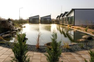 Armonia de pe lac - 0