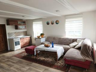 Relax in a picturesque environment - peace, trips and nature - 1