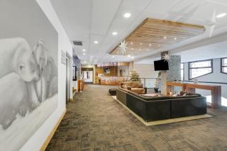 l'Ours Bleu B33 ski -in ski -out - Happy Rentals - 6