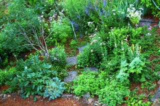 Fir Mountain Escape - 8