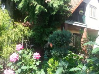 Ferienwohnung S Viering - 8