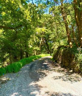 The School Cottage - 1