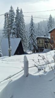 Apartmani natural Jahorina - 5