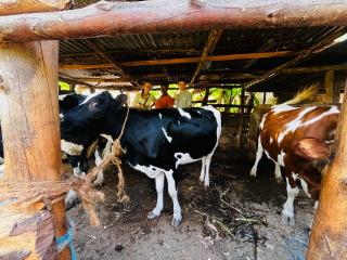 Meleji Studio House - 3