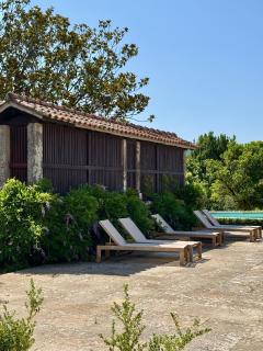 As Casinhas, Slow Living in Minho Quinta - 8