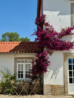 As Casinhas, Slow Living in Minho Quinta - 4