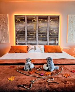 Ô Cocon du Lac, magnifique studio de charme 30 m2, idéal curistes - 3