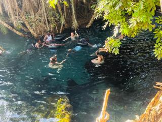 Meleji Studio House - 9