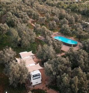 Algarve Olive Tree Lodge - 2