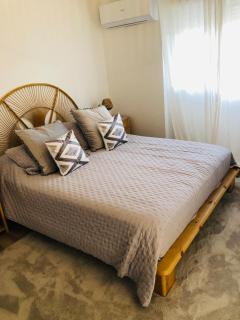 Les Genêts ensoleillés - 2