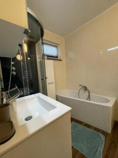 Komfortables Einraum-Apartment in Weißenthurm - 4