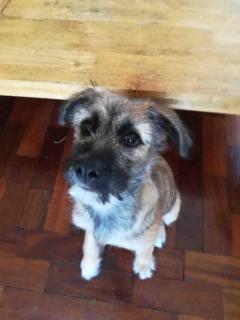 Rustic Farm Cottage Outside Plett - 6