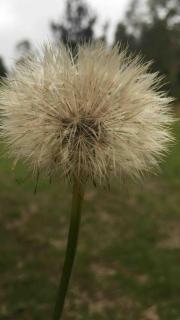 Rustic Farm Cottage Outside Plett - 4