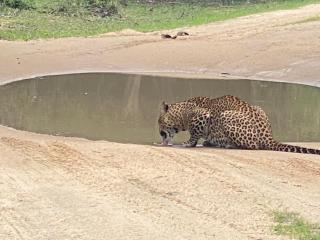 Secret Paradise Panama - 7