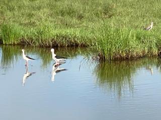 Secret Paradise Panama - 6