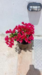 Vila Negreiros Serra Negra Casa 1 - 1