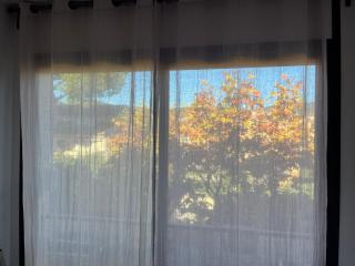 Lemon Tree Guest House - 6