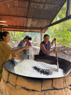 Luz Amazônia Lodge - 4