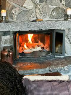 Cabin By Trillemarka Nature Reserve - 1