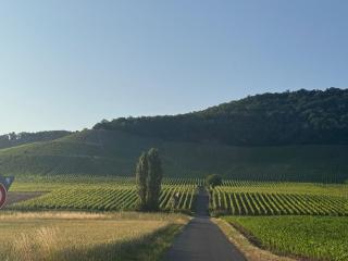 Horizont-360-Grad - 0