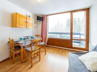 Studio chaleureux 4 pers avec balcon, cuisine équipée et TV - Saint-François-Longchamp - FR-1-807-50 - 0