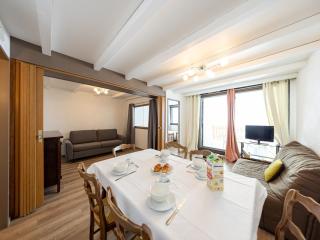 Saint-François-Longchamp, appt confort 6 pers, au pied des pistes, balcon sud - FR-1-807-83 - 1