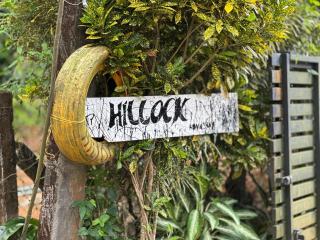 The Hillock-quiet by the Mountains - 9