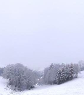 Wohnung im Herzen Mühlviertels - 7